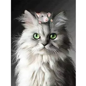 Полный Suqare Алмазная картина Животное Кошка 5d Алмазная вышивка Алмазный домашний декор Подарок 20*25 cm