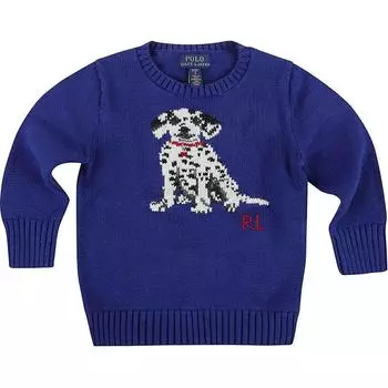 Polo Ralph Lauren Kids Свитшот приталенного кроя с круглым вырезом и принтом Детский свитер Синий 323920667-001 L