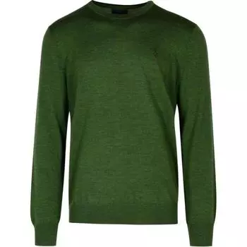 Polo Ralph Lauren однотонный свитер с круглым вырезом и длинными рукавами мужской свитер зеленый 710946143-007 S
