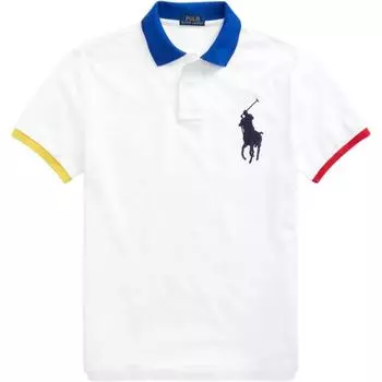 Polo Ralph Lauren SS24 Вышитая хлопковая футболка-поло с коротким рукавом и логотипом Big Pony Мужские топы MNPOKNI1N821396-100 XXL