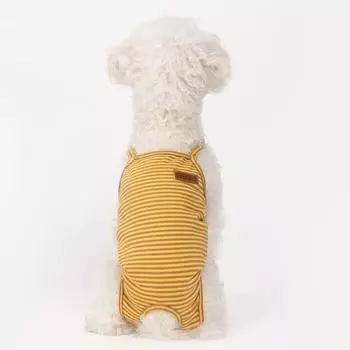 Полосатые женские собачьи физиологические штаны комбинезон для домашних животных шорты для кошек и собак подгузники для маленьких собак S зелёный