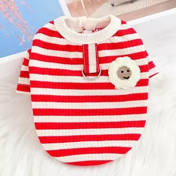 Полосатый Домашний Кот Маленькая Собака Собачья Одежда Тяговые Двуноги Весна Осень Весна Лето S