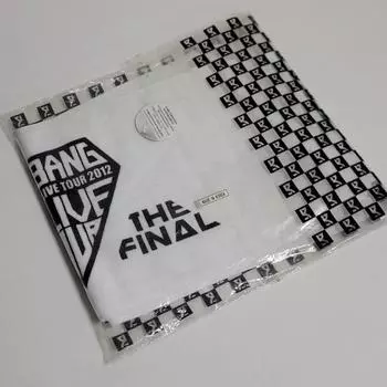 Полотенце для поддержки тура Big Bang Alive