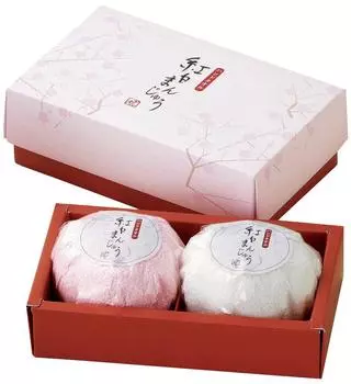 Полотенце для рук NIPPON UTENSIL, красное и белое, оригинальное сладкое полотенце Manju, набор сладостей Sohonpo для праздника, 2 шт. TFG0702802