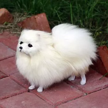 Померанский шпиц, плюшевые игрушки, реалистичные собаки, мягкие игрушки для детей, подарок на день рождения, Рождество белый