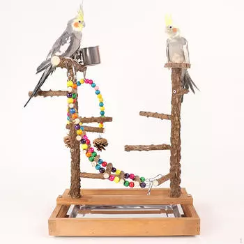 Попугай Птица Игровая Площадка Жевательные Игрушки Упражнение Активный Центр, Игровой Спортивный Зал Подставка Для Попугая