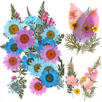 Популярные маленькие 25 шт./пакет, высокое качество, украшение для дома, сушеные цветы, прессованные цветы, консервированные цветы, сделай сам, мини-цветы ручной работы 7