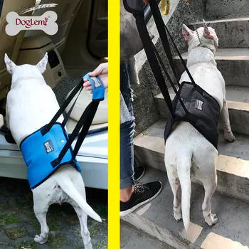Пояс для переноски для собак, защита от травм задних лап пожилых собак, ремень для прогулок с собаками для использования в автомобиле и наверху S синий