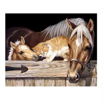 Порошок Ташичи 500г