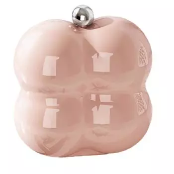 Портативный кейс для украшений Многофункциональная шкатулка для украшений Органайзер для украшений Удобный для путешествий кейс для аксессуаров Подходит для женщин розовый