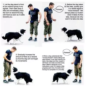 Портативный свисток для дрессировки собак, кликер, игрушки для собак, кликер для дрессировки домашних животных, товары для животных, звуковой тренажер, инструменты для дрессировки домашних животных