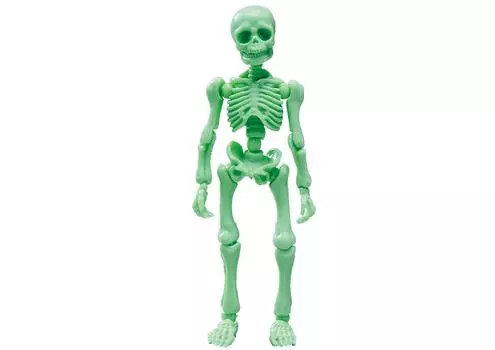 Pose Skeleton Human 01 Human Color Series Cream Soda