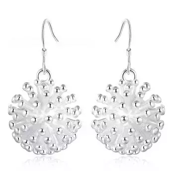 Посеребренные серьги Серебряные серьги S925 Корейский стиль модный бутик ювелирных изделий ретро модные темпераментные серьги