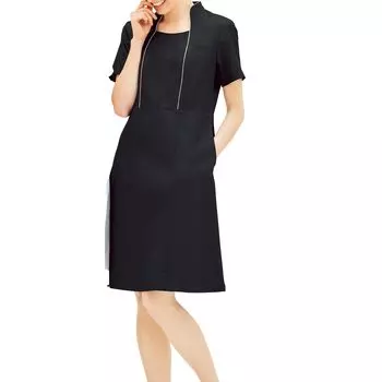 Пот CL0181 5 [Charara] Женское платье, Воротник-стойка, Впитывающий, Антистатический, Эластичный, Медицинский, Эстетический, Красота, Стоматологический, Клиника, Униформа, C-10,