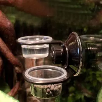 Pot Transparent Double Bowl Drinking Basin Fixed Reptile Pet Hanging Bowls for Snakes Reptile Accessories Hanging Watering чёрный