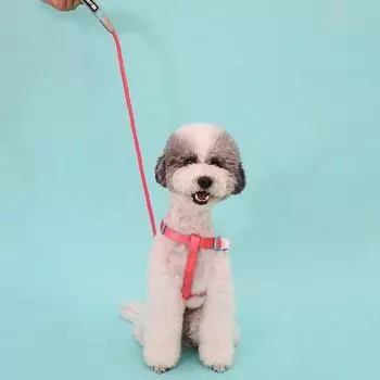 Поводок All2Pet для собак с разноцветным ремнем, коралловый+синий M