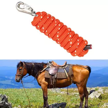 Поводок для лошади, поводок для дрессировки собак, выпад, слежение, шнур, прочный с оранжевый