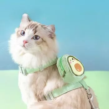 Поводок для питомца Apogo Backpack Pet Strap Dog Walking Rope S зелёный
