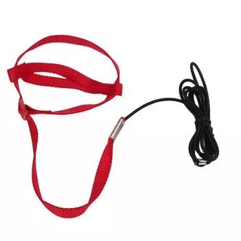 Поводок для птиц Устойчивый к укусам Регулируемый Попугай Веревка для тренировки полетов для прогулок Посещения вечеринкиКрасный M XS 24in: 63.5 X 48 X 50.8cm / 25 X 18.9 X 20in красный