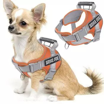 Поводок для собак, поводок для прогулок, жилет для золотистого ретривера, лабрадора, большой, средней, маленькой собаки, цепочка на ремне S [