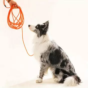 Поводок для собак Водонепроницаемый Тренировочный Противозакручивающий Длинный Взрывозащищенный Смывной Поводки для домашних животных Тренировочный Пляжный Двор Игры S оранжевый