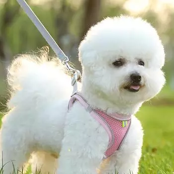 Поводок для выгула собак малого и среднего размера, нагрудный ремень для жилета для кошек, светоотражающий дышащий поводок