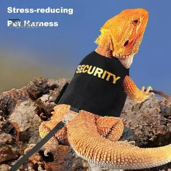 Поводок-поводок в виде ящерицы. Дышащая мягкая подкладка. Жилет для рептилий. Бородатый дракон. Верх с крючком и петлей. Регулируемый, удобный для ношения. чёрный