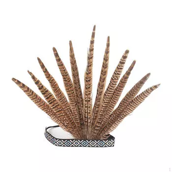 Повязка на голову с перьями Индийский костюм Головной убор Корона Головной убор в виде павлина для