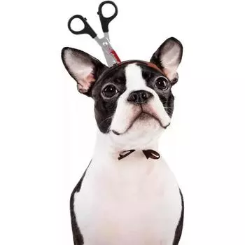 Повязки на голову для домашних животных, забавные повязки на голову для косплея на Хэллоуин, ужасные повязки на голову с оружием, страшные кровавые топоры, ножницы, головные уборы, шапки для собак и кошек 22cm