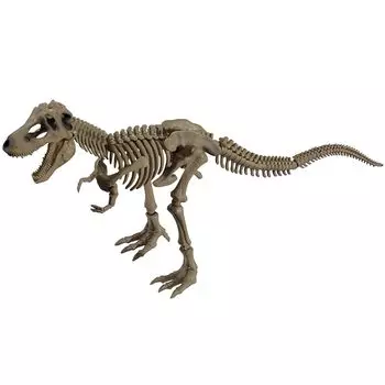 поза скелет динозавра серия 101 тираннозавр