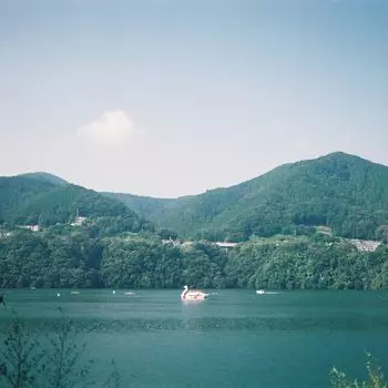 Поздравления с праздником середины лета Поздравления с праздником конца лета Чистая мята / (Цветовая версия Зеленый) [Аналоговый]