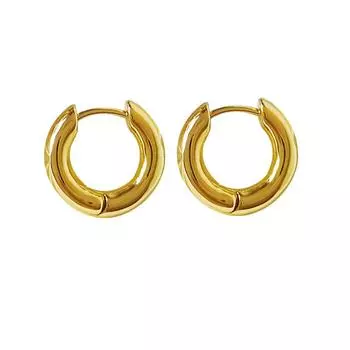Позолоченные европейские и американские популярные геометрические круглые серьги простые медные серьги темперамент хип-хоп стиль, маленькие серьги T06 золотой