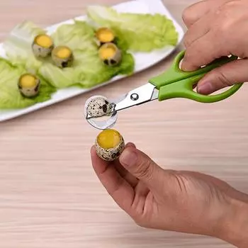 Practical 10PCS Stainless Steel Quail Egg Cutter Scissors Pigeon Bird Quail Egg Cutter Opener Cracker Kitchen Clipper Tool зелёный
