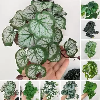 Практическое моделирование растений без полива, многоцелевой реквизит для съемок E