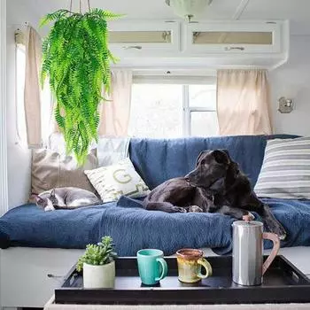 Практическое моделирование растений Декоративный пластик своими руками 1PC зелёный