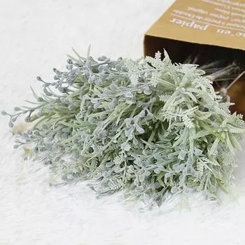 Практическое моделирование растений с привлекательными прозрачными венами своими руками зелёный