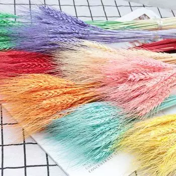 Практичная сушеная овсяная трава, яркая, не требует воды, деревенский стиль