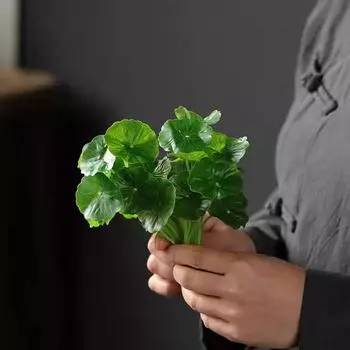 Практичные искусственные растения, компактные, не увядающие, универсальные. зелёный