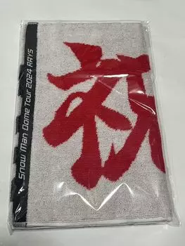 Праздничное полотенце SnowMan 2024 RAYS Dome Tour