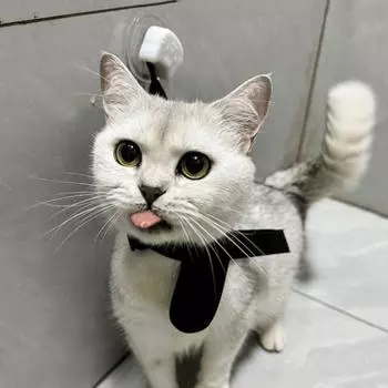 Предотвращение побега собаки купание поводок регулируемый уход за домашними животными удерживающая веревка для кошек собак розовый