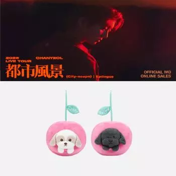 Предварительный заказ 2025 CHANYEOL Live Tour City-scape Epilogue Character Cushion TOBEN