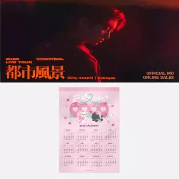 Предварительный заказ 2025 CHANYEOL Live Tour City-scape Epilogue Fabric Calendar