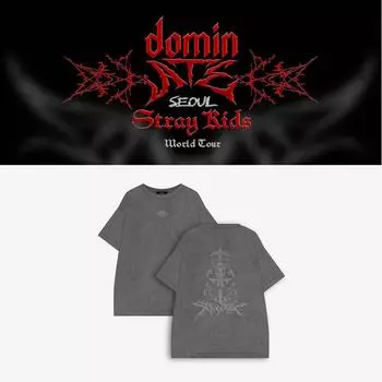 Предварительный заказ футболки Stray Kids dominATE SEOUL