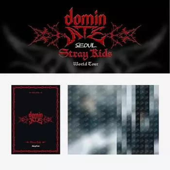 Stray Kids dominATE SEOUL Почтовая книга-открытка Changbin