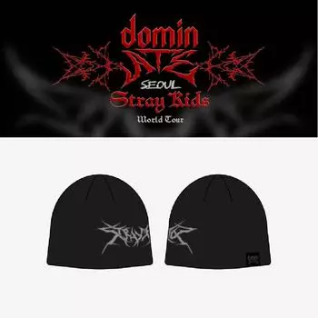 Предварительный заказ Stray Kids dominATE SEOUL Beanie