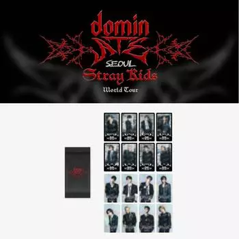 Предварительный заказ Stray Kids dominATE SEOUL Специальная коллекционная карточка