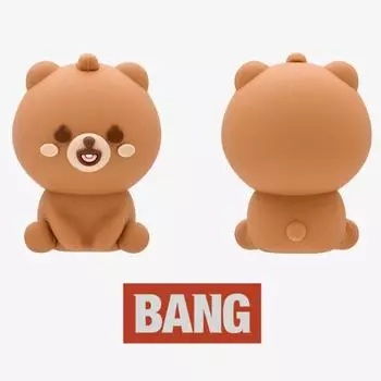 Предзаказ Фигурка DAY6 10th Anniversary Tour THE DECADE Petit DENIMALZ BANG