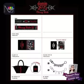 [ПРЕДЗАКАЗ] Мировой тур Stray Kids доминирует в Японии (Магазин товаров) Key Holder A(Gray)