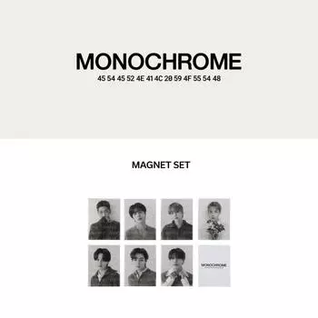Предзаказ Набор магнитов BTS MONOCHROME