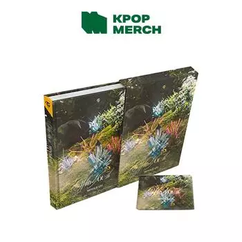 ДВАЖДЫ - МОНОГРАФИЯ С ВАМИ-ом